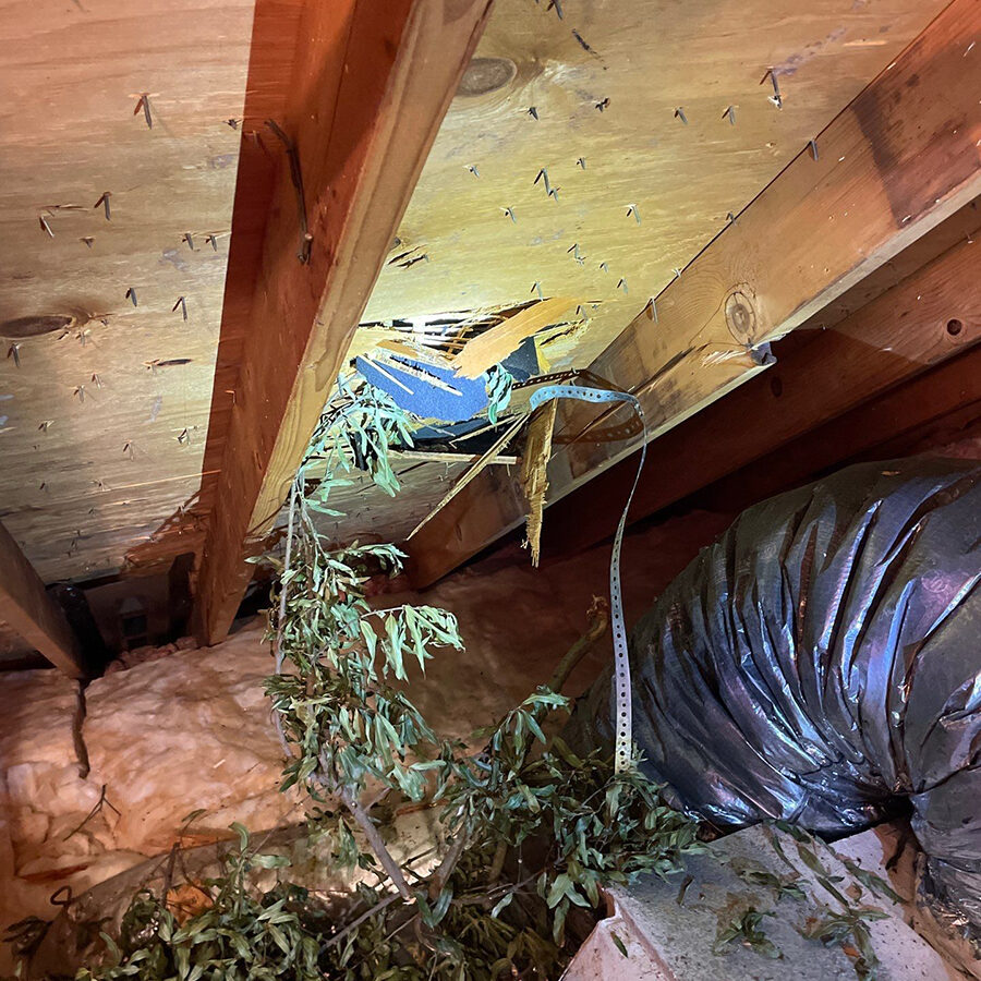 Tree through roof after a storm Modern BYLT Roofing Houston